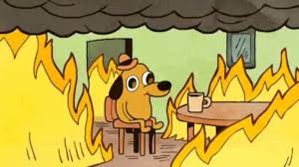 Chien assis dans une pièce en feu disant 'this is fine'